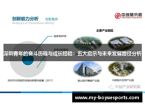 深圳青年的奋斗历程与成长经验：五大启示与未来发展路径分析