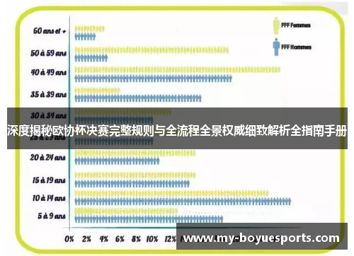 深度揭秘欧协杯决赛完整规则与全流程全景权威细致解析全指南手册