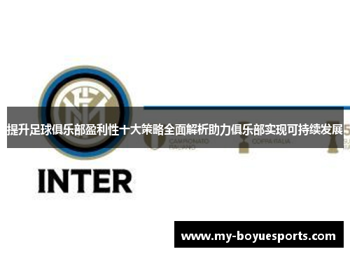 提升足球俱乐部盈利性十大策略全面解析助力俱乐部实现可持续发展